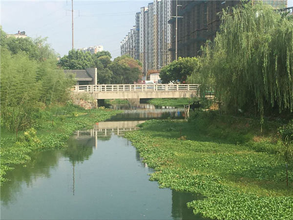 萬源河水生態治理