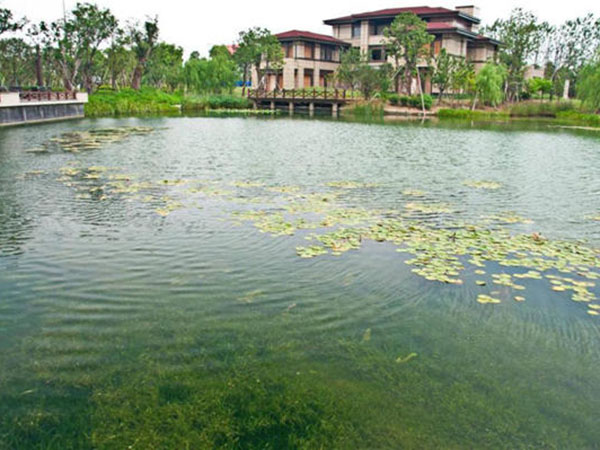 上海景觀花園水系生態修復構建