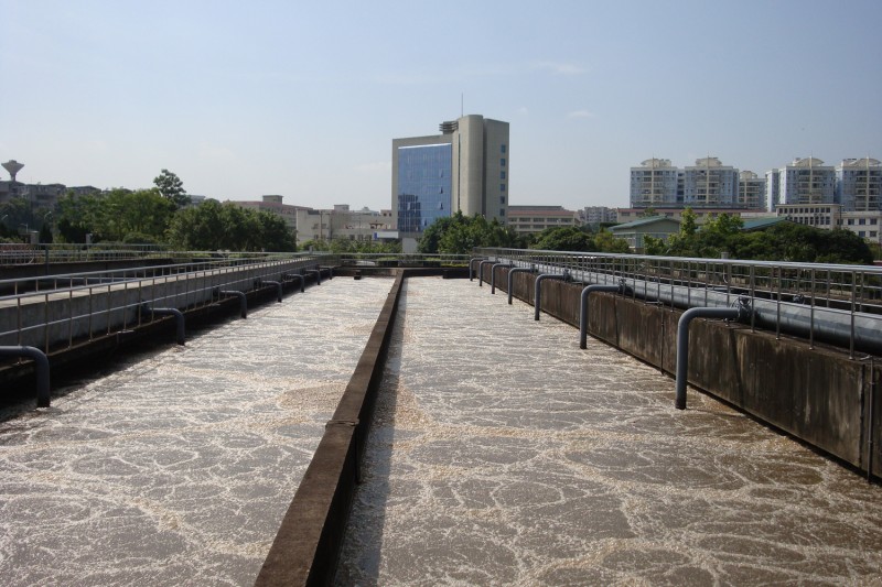 河南商丘某麥芽廠微生物技術